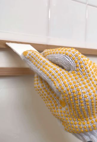 投稿動画のワンシーン