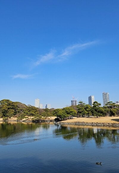 浜離宮恩賜庭園も近くにあります