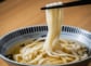 福岡うどんが続々関東へ「うちだ屋」が横浜にオープン、成り立ちや特徴を解説