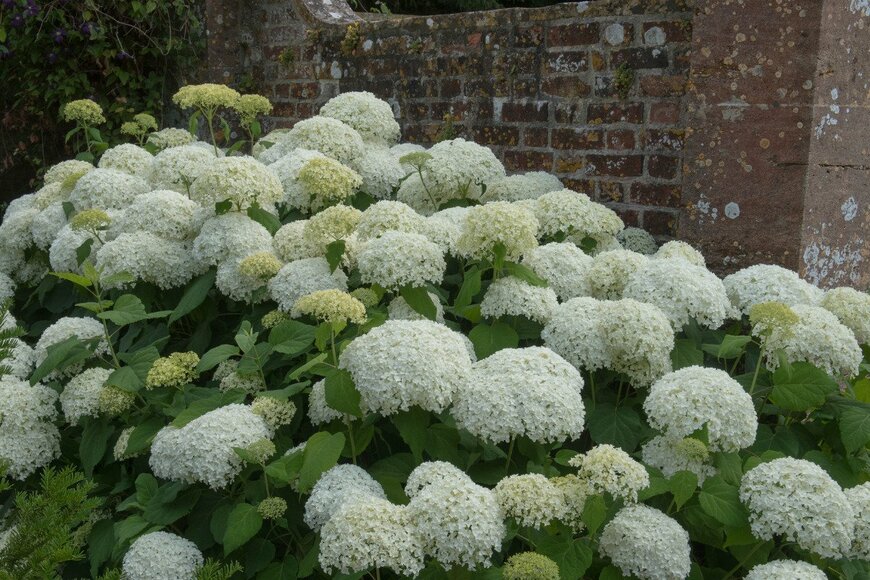 pcturner71/istockphoto.com