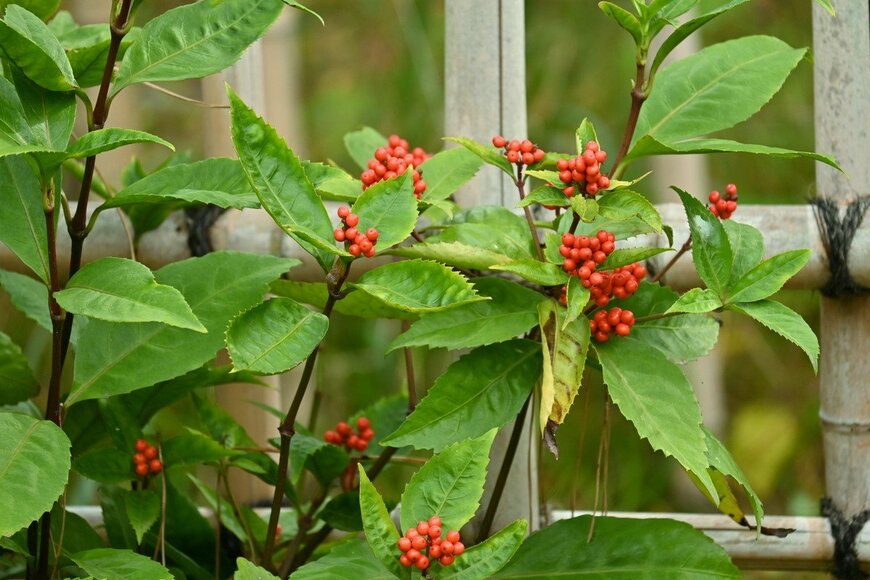 undefined undefined/istockphoto.com