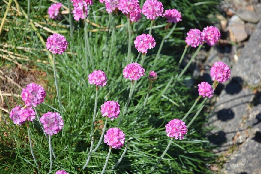 J0an/shutterstock.com