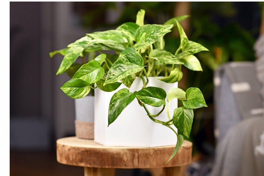 Firn/istockphoto.com