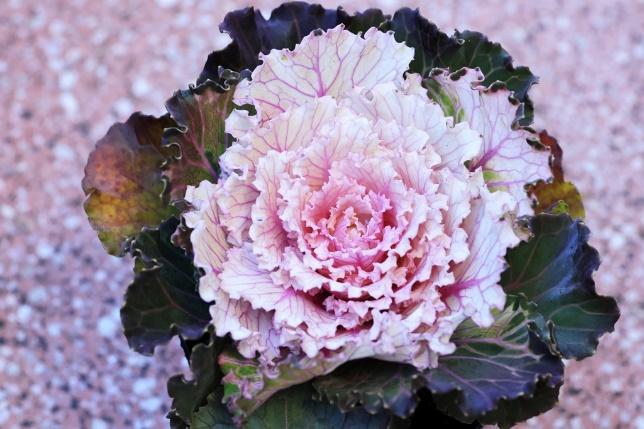 出所：筆者撮影