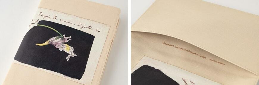 出所：ほぼ日『NHK朝ドラ『らんまん』のモデル・牧野富太郎博士の「植物図」がほぼ日手帳2024のラインナップに登場！』