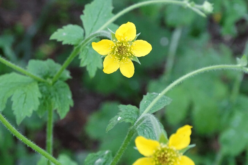 Julie Beynon Burnett/shutterstock.com