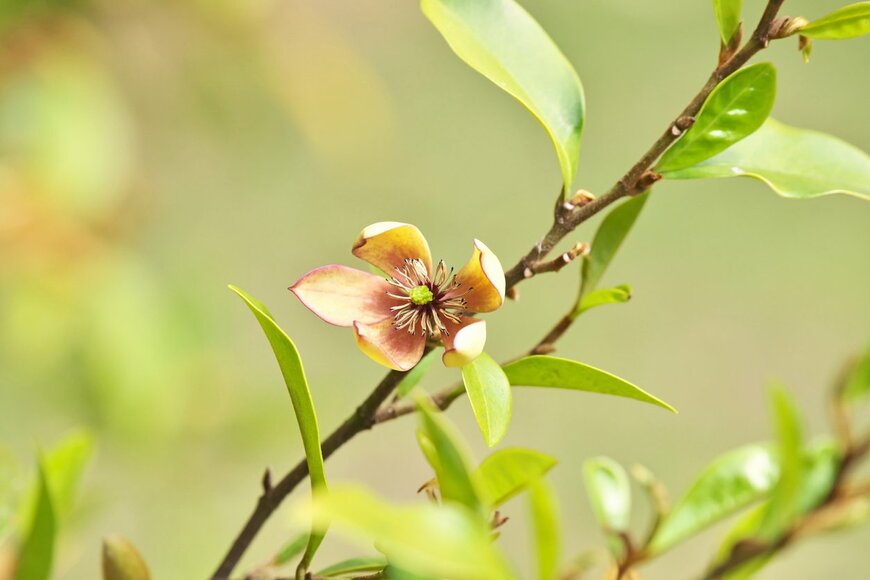 igaguri_1/istockphoto.com