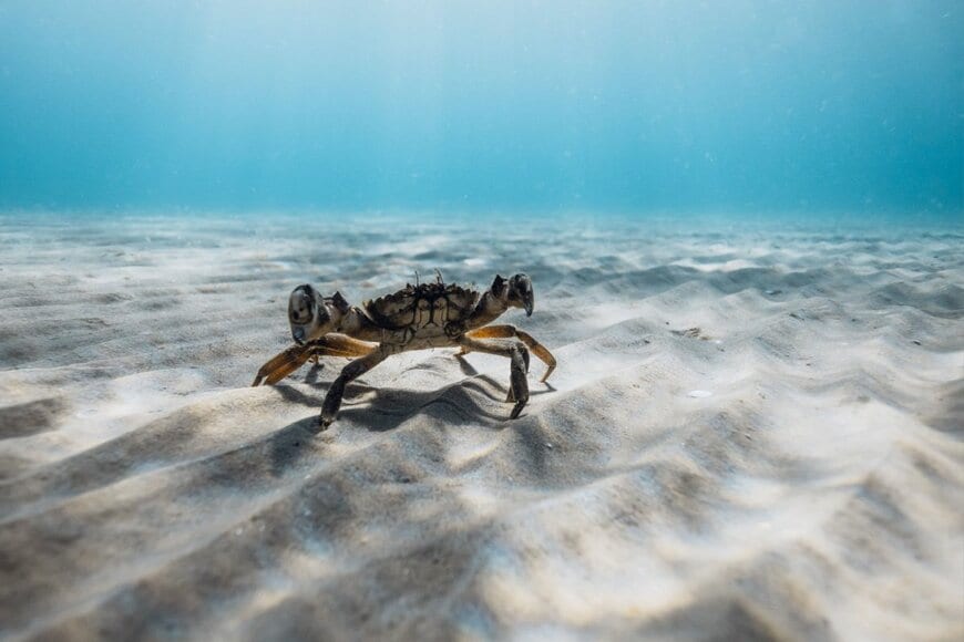 Wonderful Nature/shutterstock.com