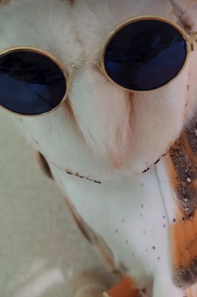 出所：@miki4wan108