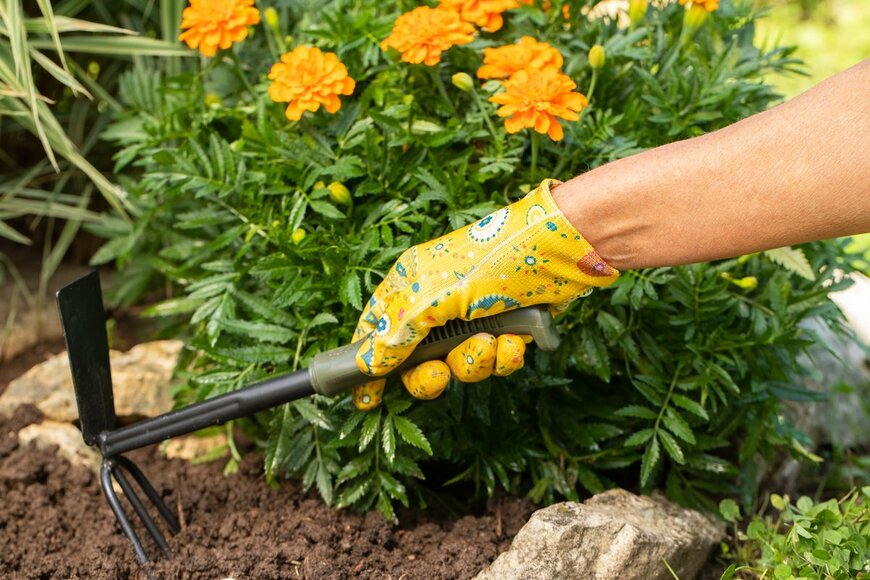 Elena Masiutkina/Shutterstock.com