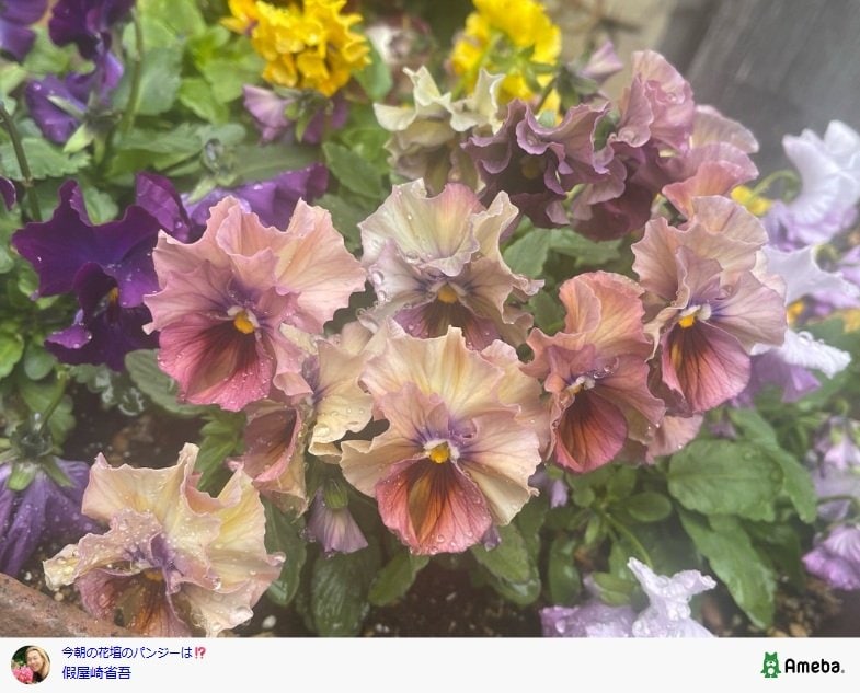 出所：假屋崎省吾の公式ブログ　参照日：2025年12月16日