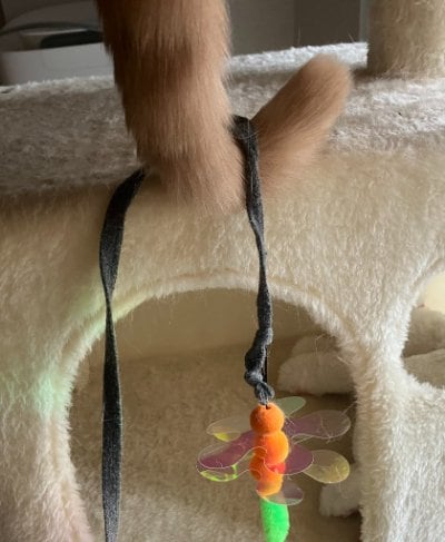 出所：@TsunaIsCat