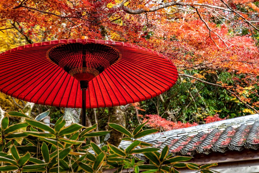 YaSuSHi_photographer/shutterstock.com