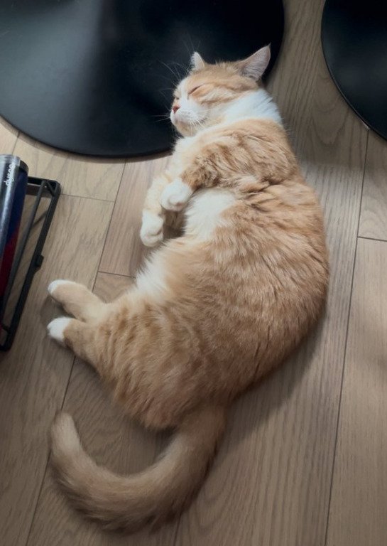 出所：@kotaro_0315