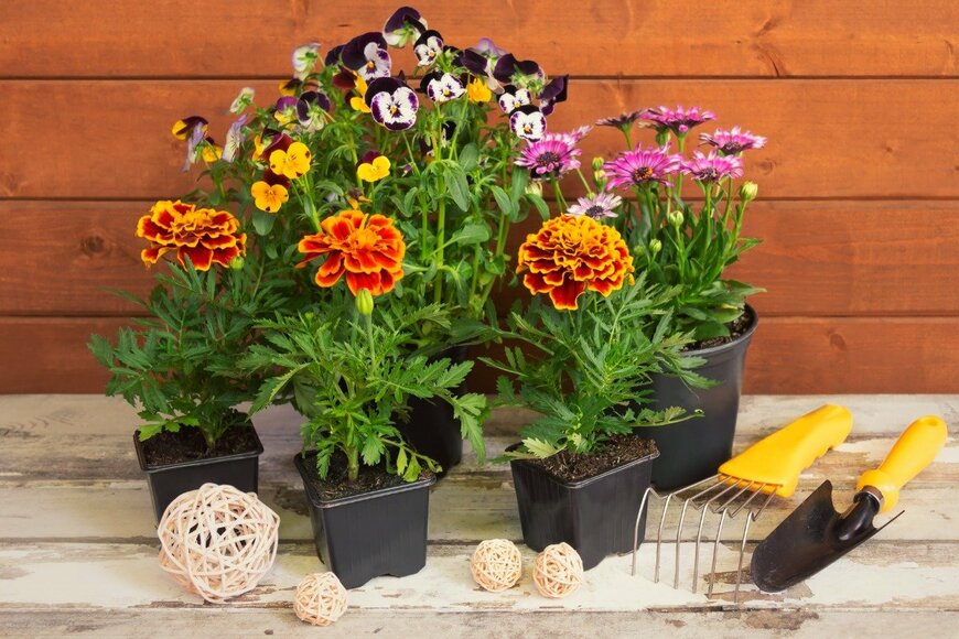 lentus25/istockphoto.com