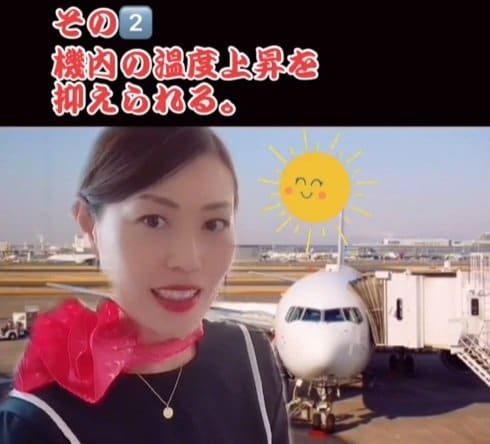 出所：akko_san_dayo「飛行機に白い機体が多い理由」