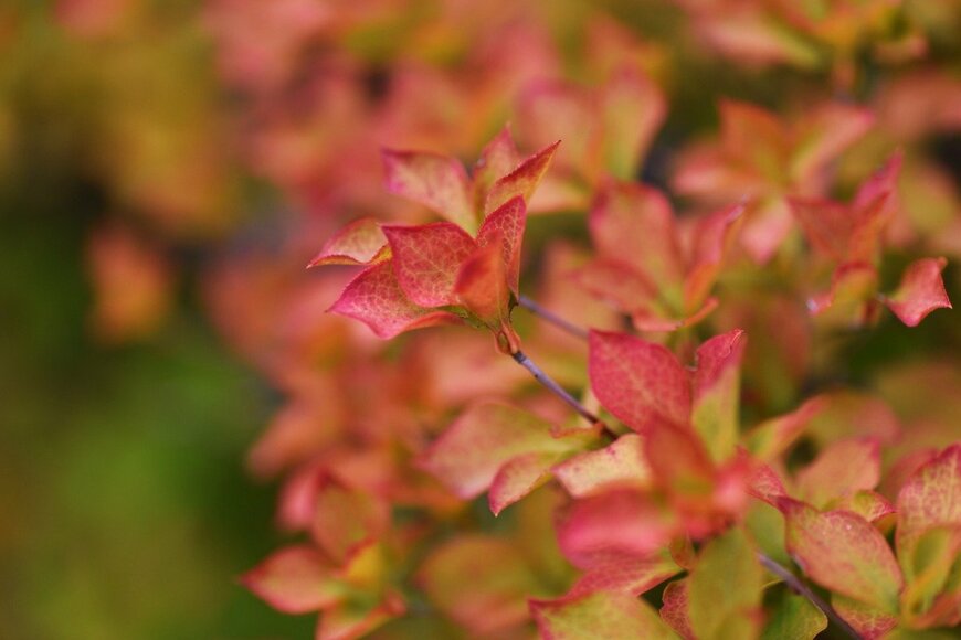 undefined undefined/istockphoto.com