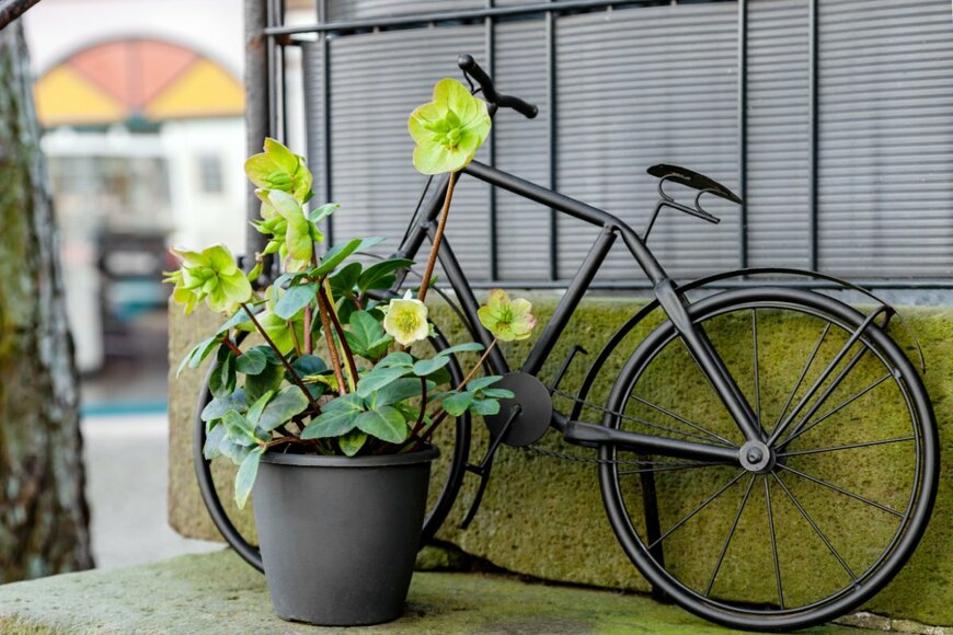 Vadym Zaitsev/shutterstock.com