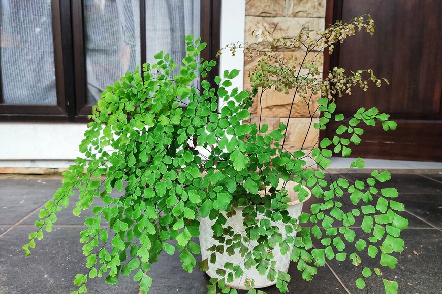 Photoiboek/Shutterstock.com