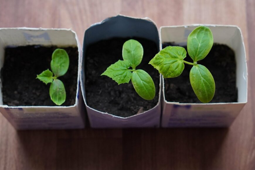 Kleo foto/istockphoto.com