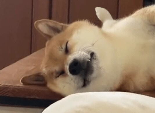 出所：@fufufufufu_ta