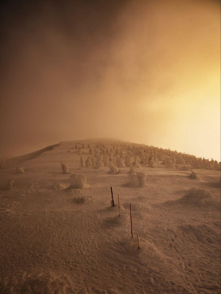 山形のスキー場で撮影された1枚