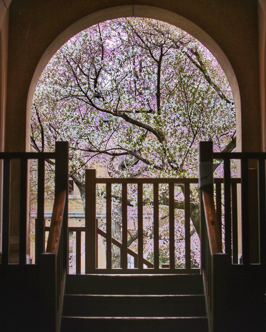 和と洋がコラボした独特の景色が見られる