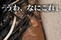 【猫と暮らす家DIY】テレビ周りのホコリが気になる…　スッキリさせて掃除もしやすい空間に大変身