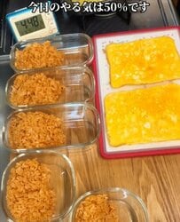 忙しい会社員主婦が作る〈オムライス弁当〉タルタルたっぷりのから揚げ南蛮も…豪華すぎる内容に「食べる人が羨ましい」の声