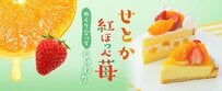 「604円で春の味覚が完結」コージーコーナーから〈せとか紅ほっぺ苺〉ひとり用ケーキが登場「3月26日迄の限定」