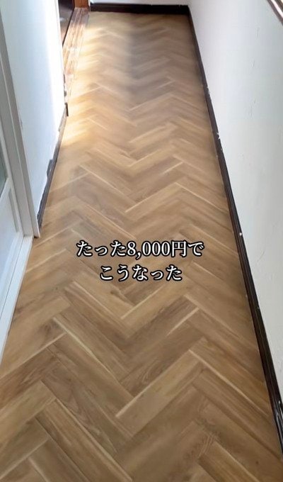 投稿の画像
