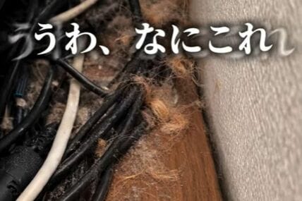 【猫と暮らす家DIY】テレビ周りのホコリが気になる…　スッキリさせて掃除もしやすい空間に大変身