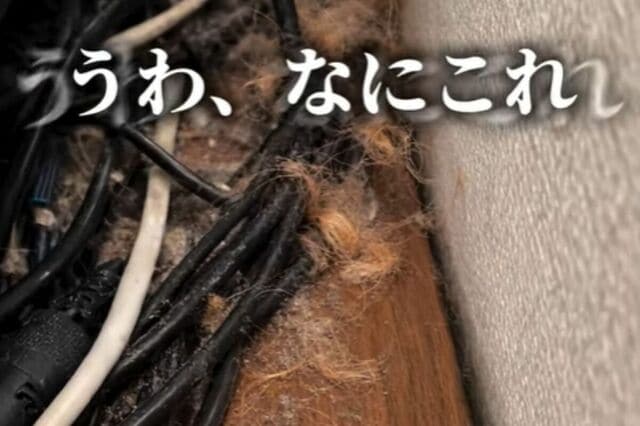【猫と暮らす家DIY】テレビ周りのホコリが気になる…　スッキリさせて掃除もしやすい空間に大変身