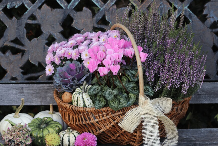 Natalia Greeske/shutterstock.com