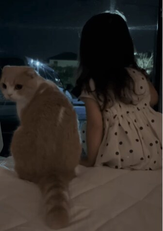 出所：@chanmaro1125