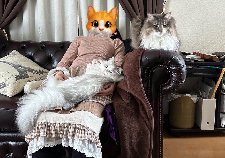 出所：@NEKOLAND13