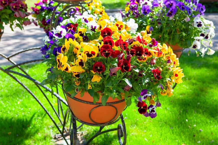 RussieseO/istockphoto.com