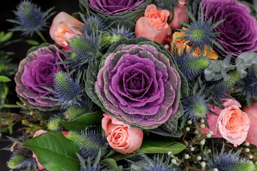 Victoria Kurylo/shutterstock.com