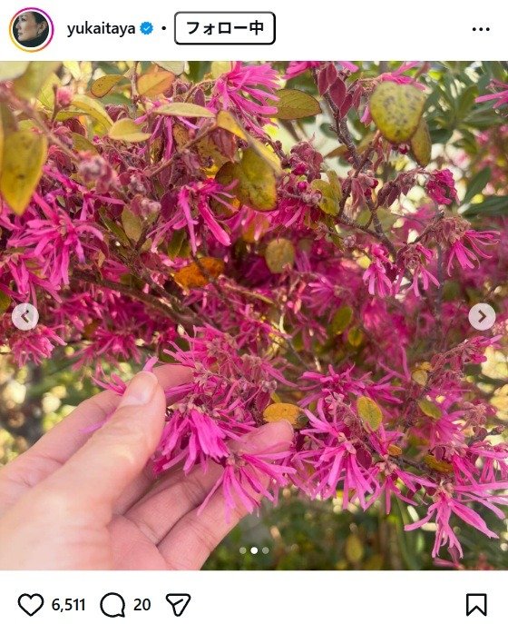出所：板谷由夏のInstagram（＠yukaitaya） 参照日：2026年3月27日