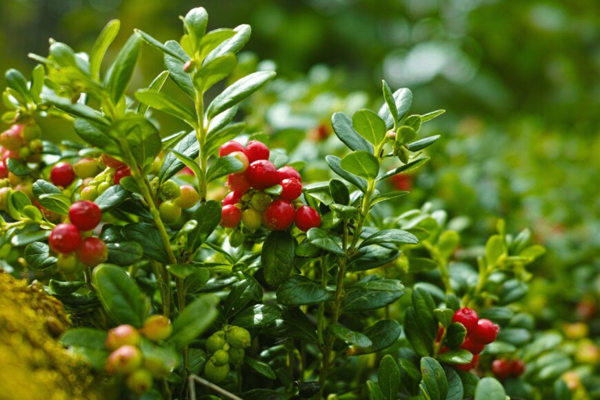 barmalini/istockphoto.com