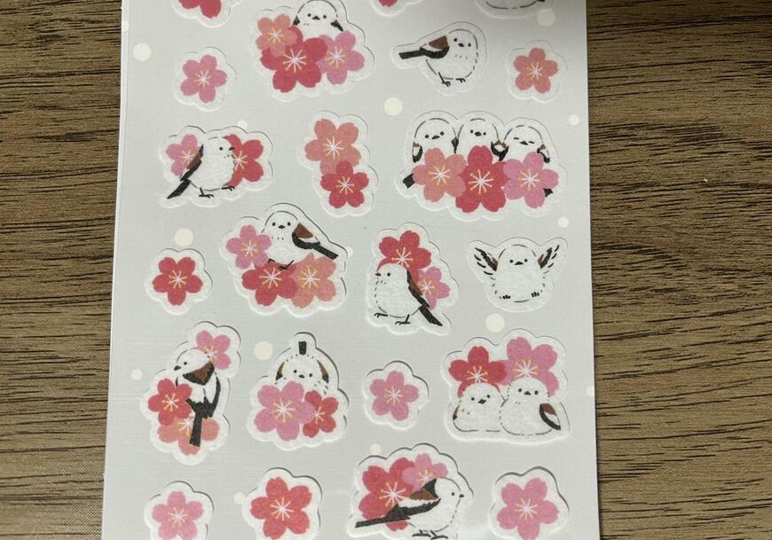 筆者撮影（ダイソー、ステッカー（桜とシマエナガ））