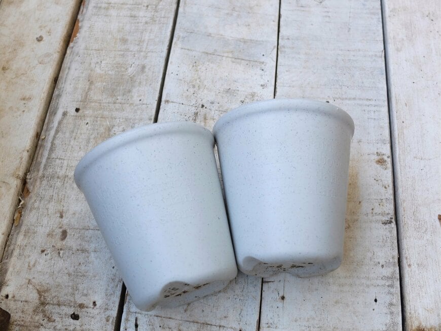 筆者撮影／ダイソー、植木鉢（円形）4号、12cm