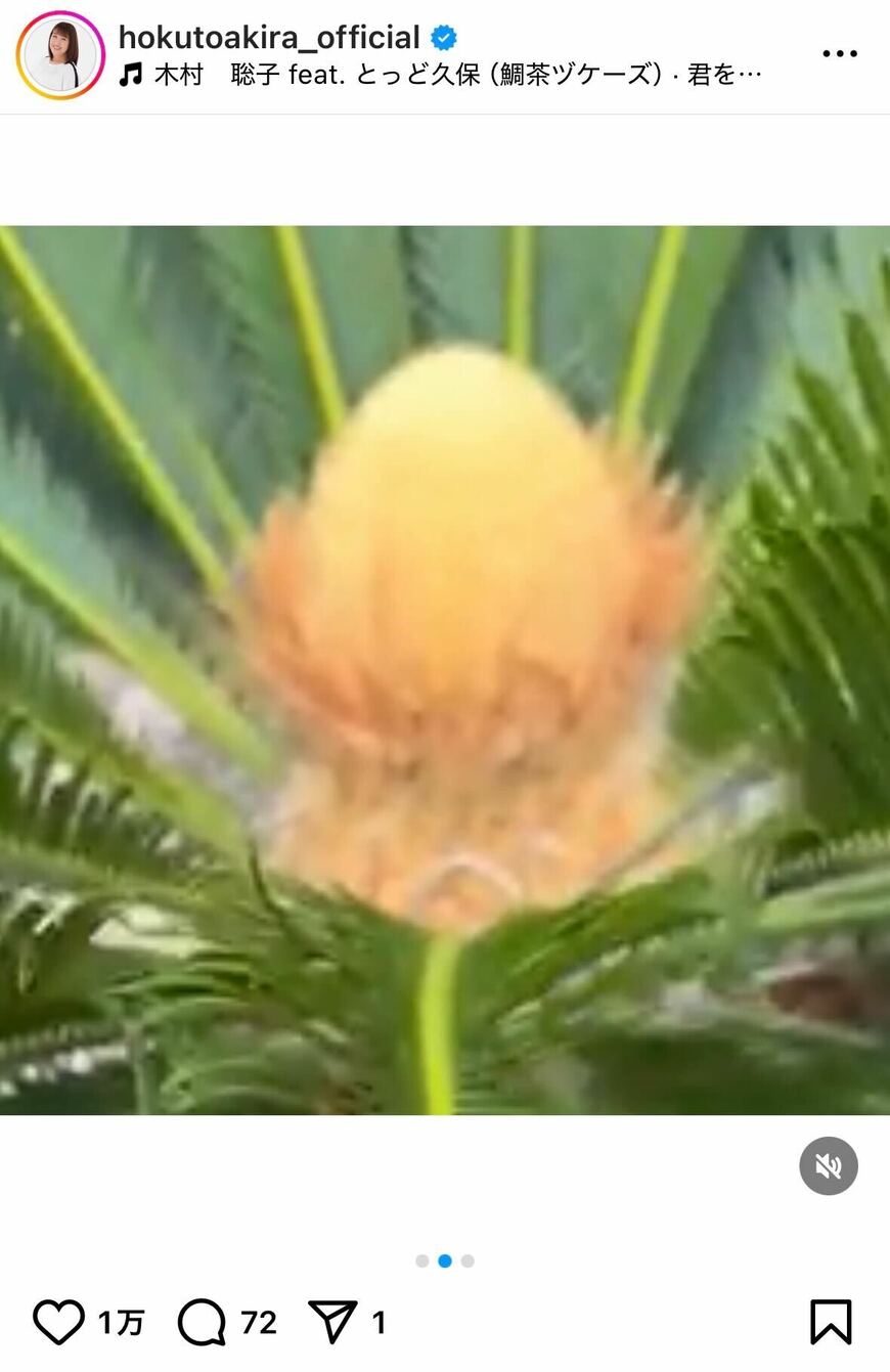 出所：北斗晶のInstagram（＠hokutoakira_official）参照日：2025年7月7日