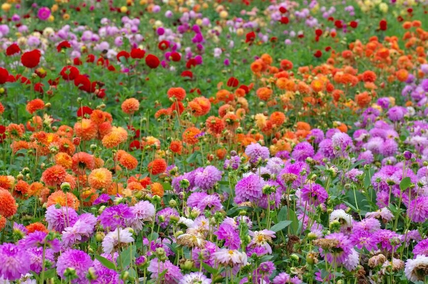 LianeM/istockphoto.com