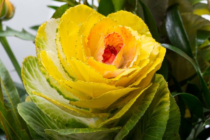 出所：wjarek/istockphoto.com