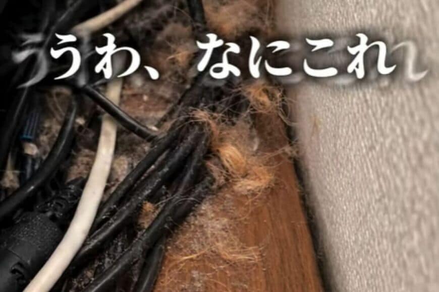 【猫と暮らす家DIY】テレビ周りのホコリが気になる…　スッキリさせて掃除もしやすい空間に大変身