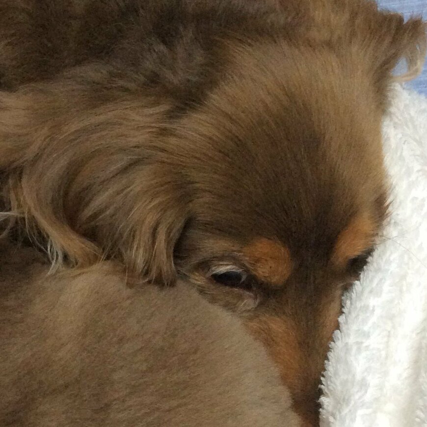 出所：@Forester_572