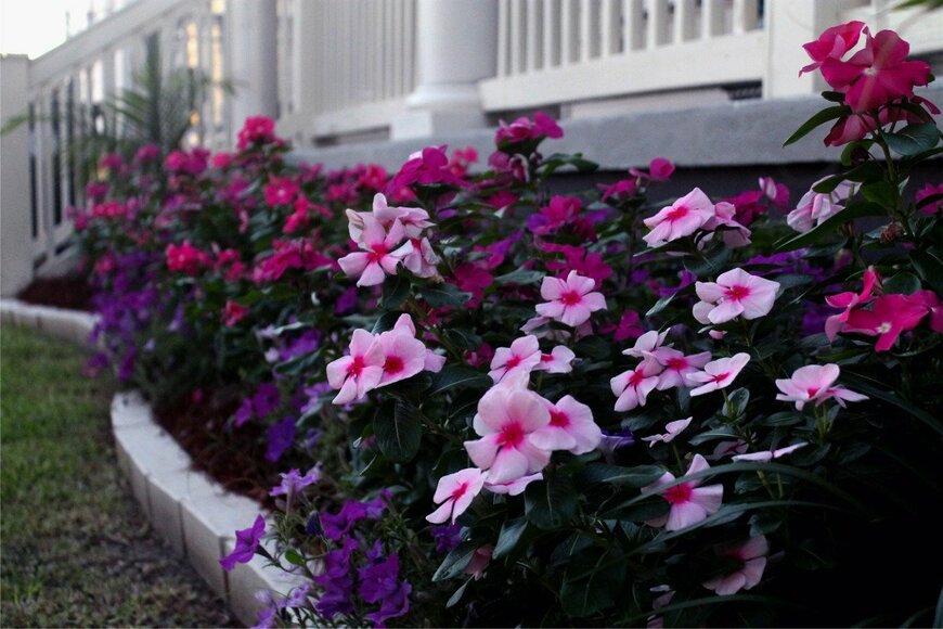 Erica Gomez/istockphoto.com