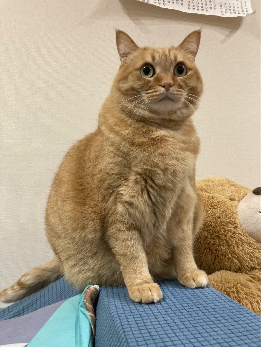 出所：@kagisuzu0531