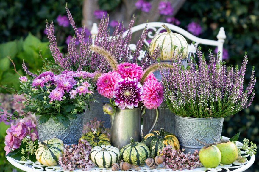 【ガーデニング】秋冬ガーデンの「寄せ鉢」をオシャレに見せる5つのコツ＆オススメ植物